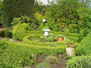 DSC00484