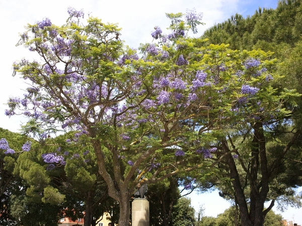 Portugal