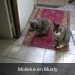 PICT0001
