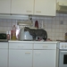 PICT0005