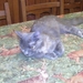 PICT0001 (Small)