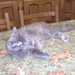 PICT0004