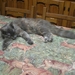 PICT0007