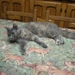 PICT0008