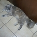 PICT0001