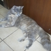 PICT0002
