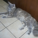 PICT0004