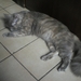 PICT0005