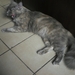 PICT0006