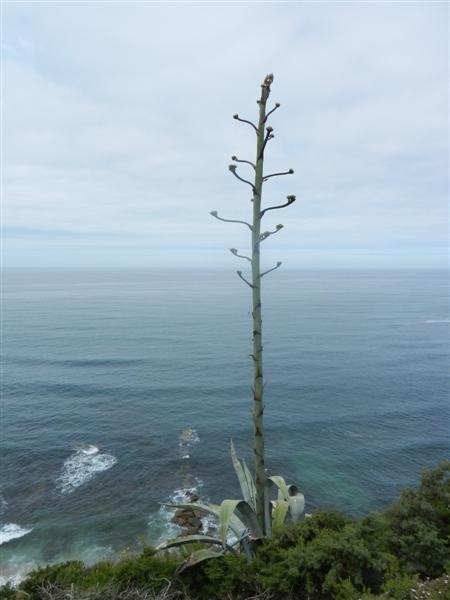 20120612.Vertrek en Ericeira 154 (Medium)