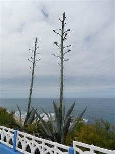 20120612.Vertrek en Ericeira 165 (Medium)