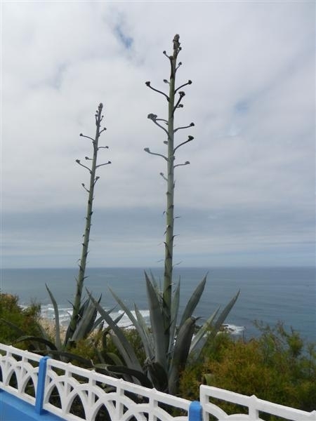 20120612.Vertrek en Ericeira 165 (Medium)