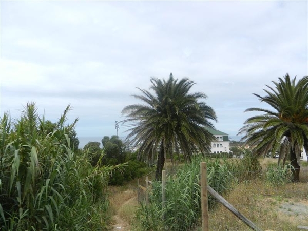 20120617.Ericeira 070 (Medium)