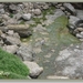sized_IMG_0204