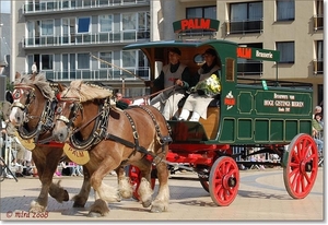 Ambachtelijk rijtuig - Ardense Trekpaarden met Bakkenwagen