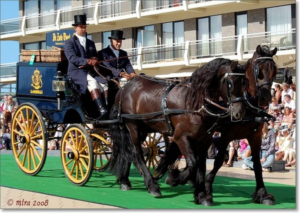 Ambachtelijk rijtuig - Friezen met Bakkerswagen