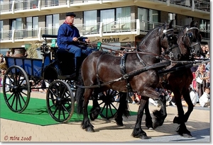 Ambachtelijk rijtuig - Friezen met Melkwagen