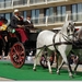 Dubbelspan paarden - Andalusiërs met Siamese Phaeton