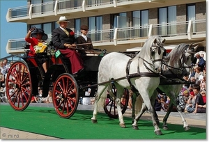 Dubbelspan paarden - Andalusiërs met Siamese Phaeton