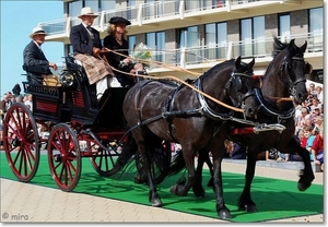 Dubbelspan paarden - Friezen met Franse Jachtbreak