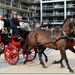 Dubbelspan paarden - Holsteiners met Jachtbreak Dogcart