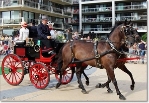 Dubbelspan paarden - Holsteiners met Jachtbreak Dogcart