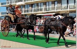 Tandem - Merens met Tandem Dog Cart