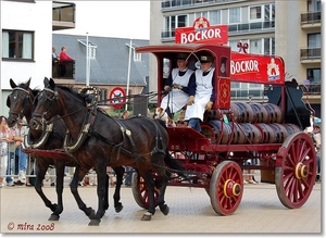 Ambachtelijk rijtuig  - Warmbloedpaarden met Bierwagen