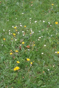Achtergronden (35)