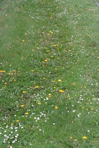 Achtergronden (36)
