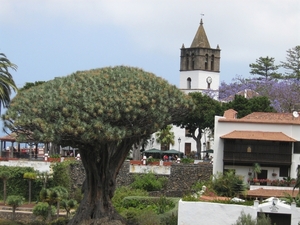 tenerife 2008-29