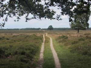 Bussum, 30 juni 2012 048