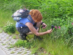 Bussum, 30 juni 2012 007