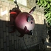 tuin nummer1