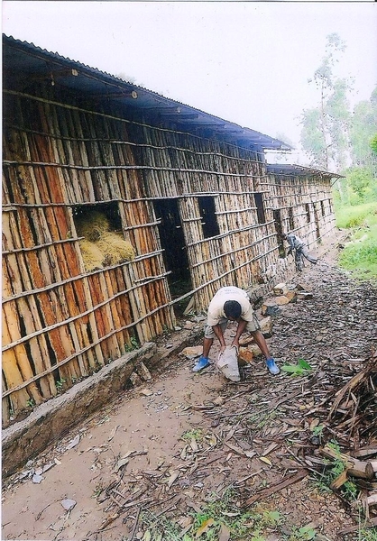 083Primary School Jinka June 2012 (3)