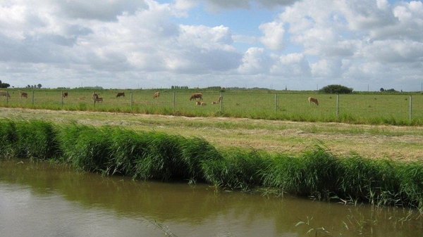 Fietsen Westuit Pervijze 2012 247