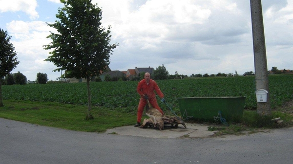 Fietsen Westuit Pervijze 2012 352