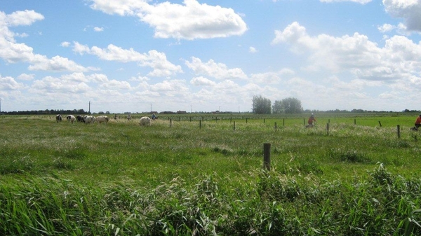 Fietsen Westuit Pervijze 2012 524