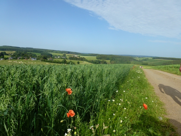 2012-06-28 La Roche 007