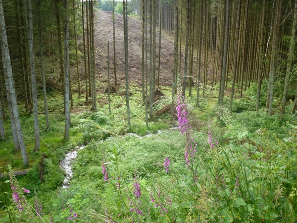 2012-06-28 La Roche 011