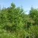 2012-06-28 La Roche 026