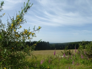 2012-06-28 La Roche 029