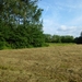 2012-07-01 Holsbeek 001