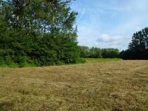 2012-07-01 Holsbeek 001