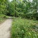 2012-07-01 Holsbeek 013