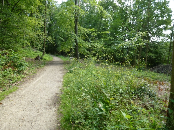 2012-07-01 Holsbeek 013