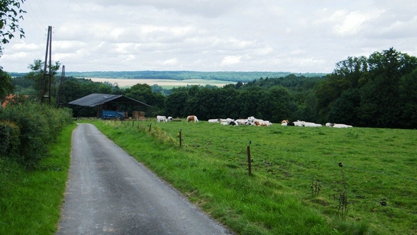 marche Adeps wandeling Falaen Wallonie