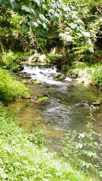 marche Adeps wandeling Falaen Wallonie