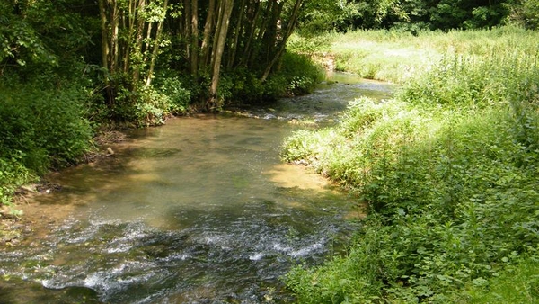 marche Adeps wandeling Falaen Wallonie