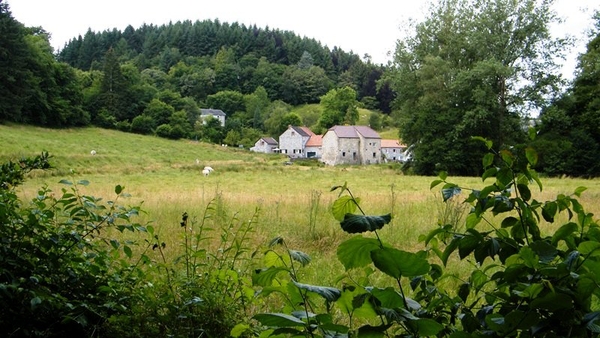 marche Adeps wandeling Falaen Wallonie